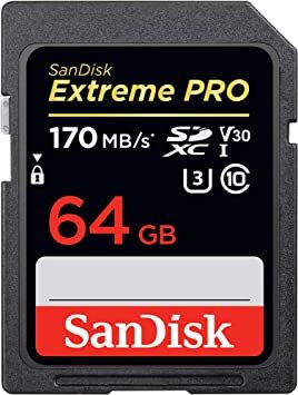 Transfer memory cards to digital files